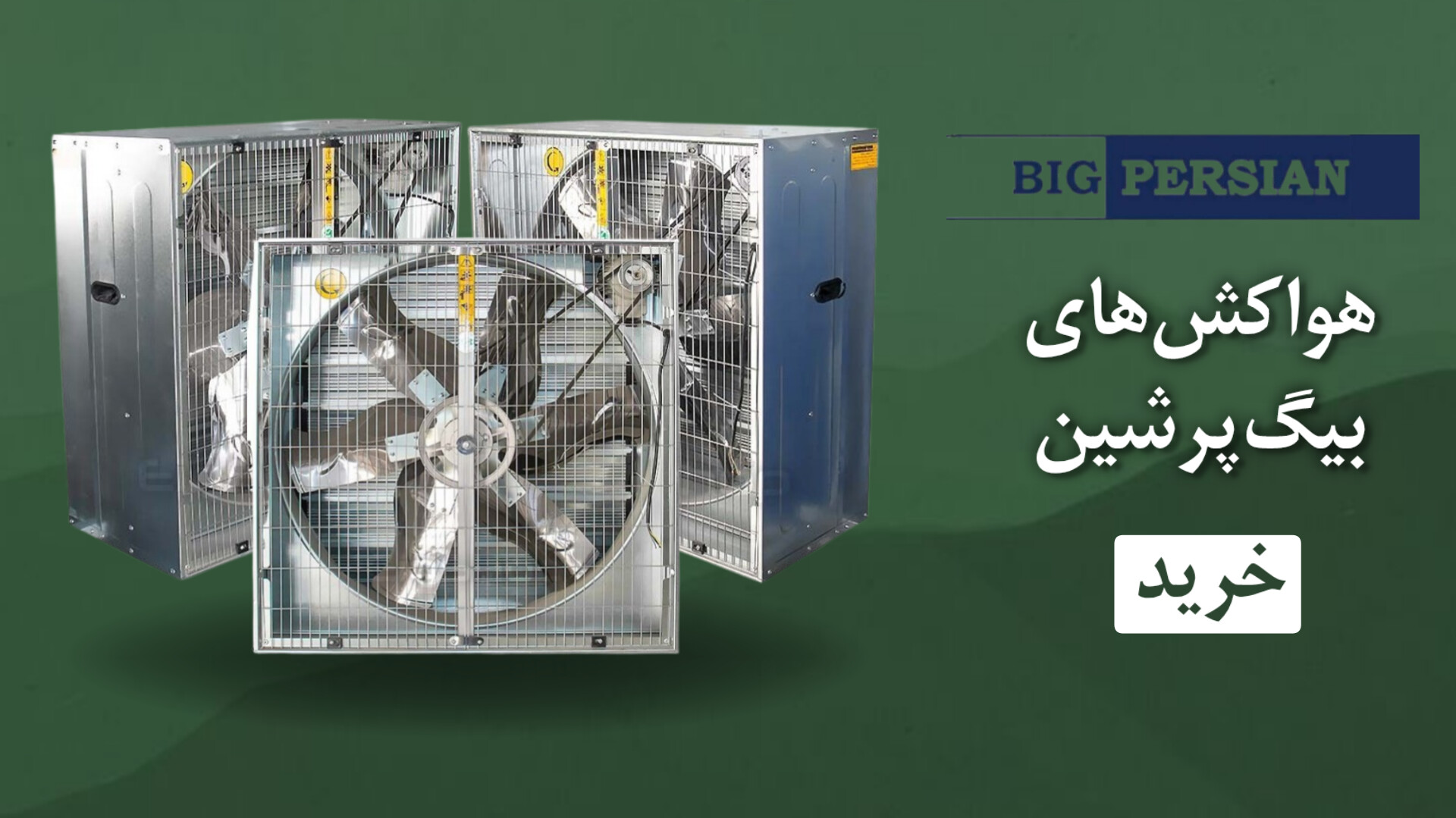 بیگ پرشین بیگ پرشین