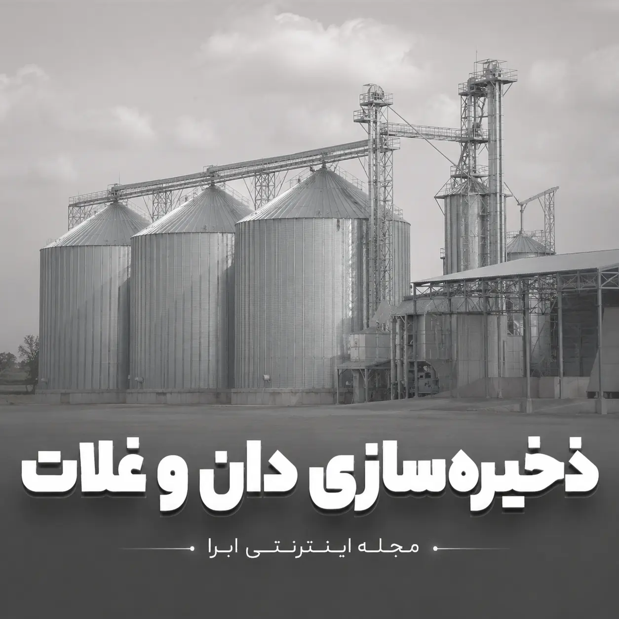ذخیره سازی دان و غلات