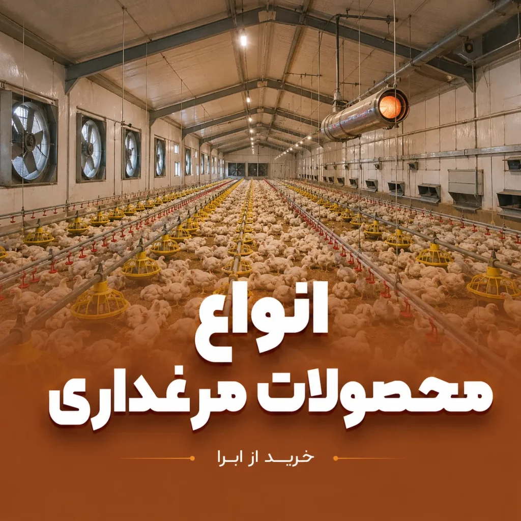 محصولات مرغداری
