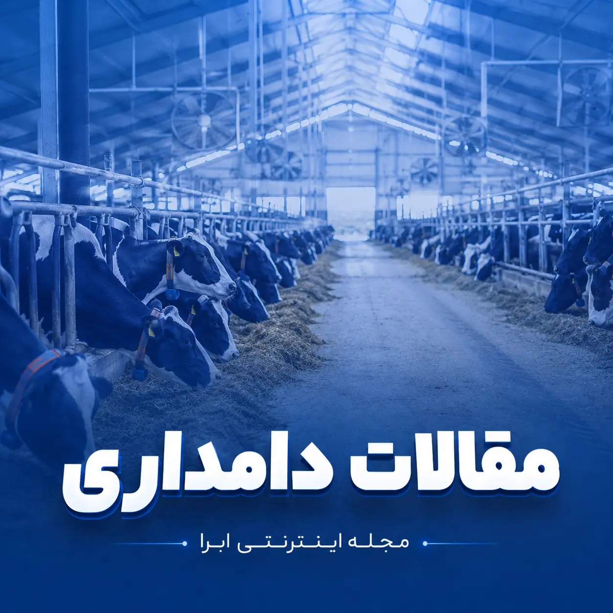 مقالات دامداری